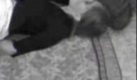 هیجان فیلم سوپر خارجی پورن دلپذیر